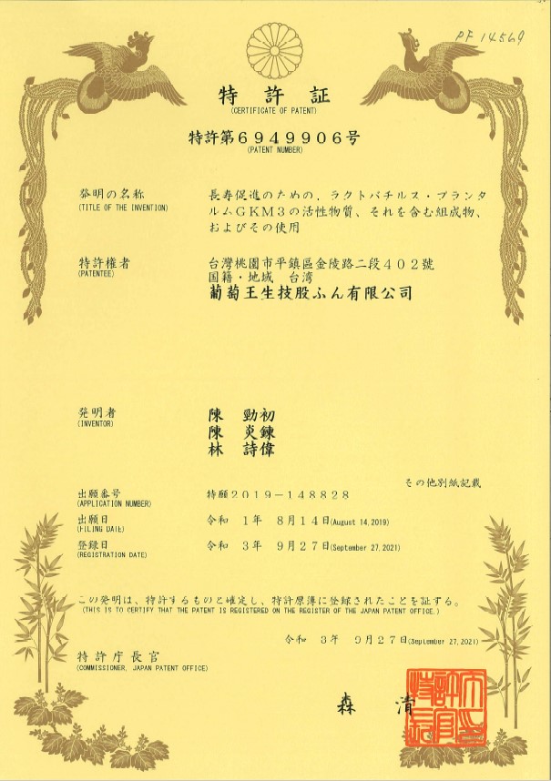 日本專利 6949906 GKM3