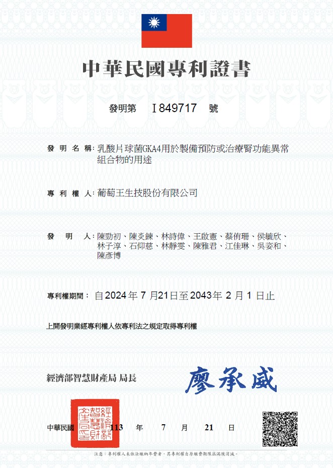 台灣專利 I849717 GKA4